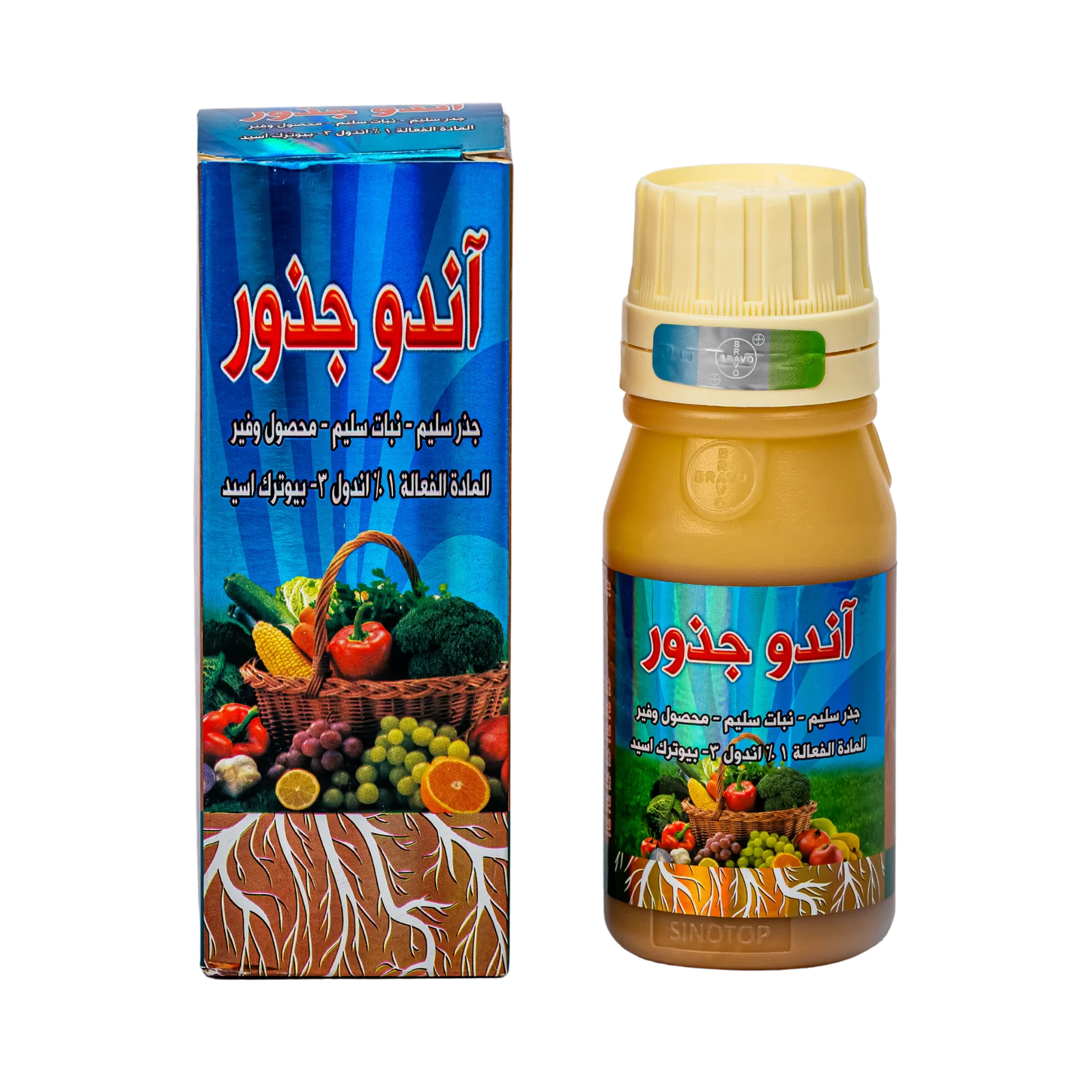 إندوجذور